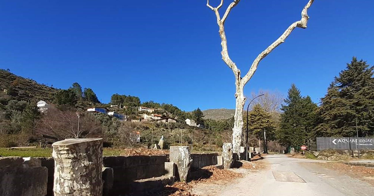 O Abate de dezenas de árvores em Unhais da Serra