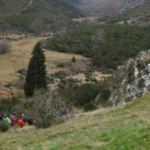 Com a Sede na Torre, o Sinal Está Dado