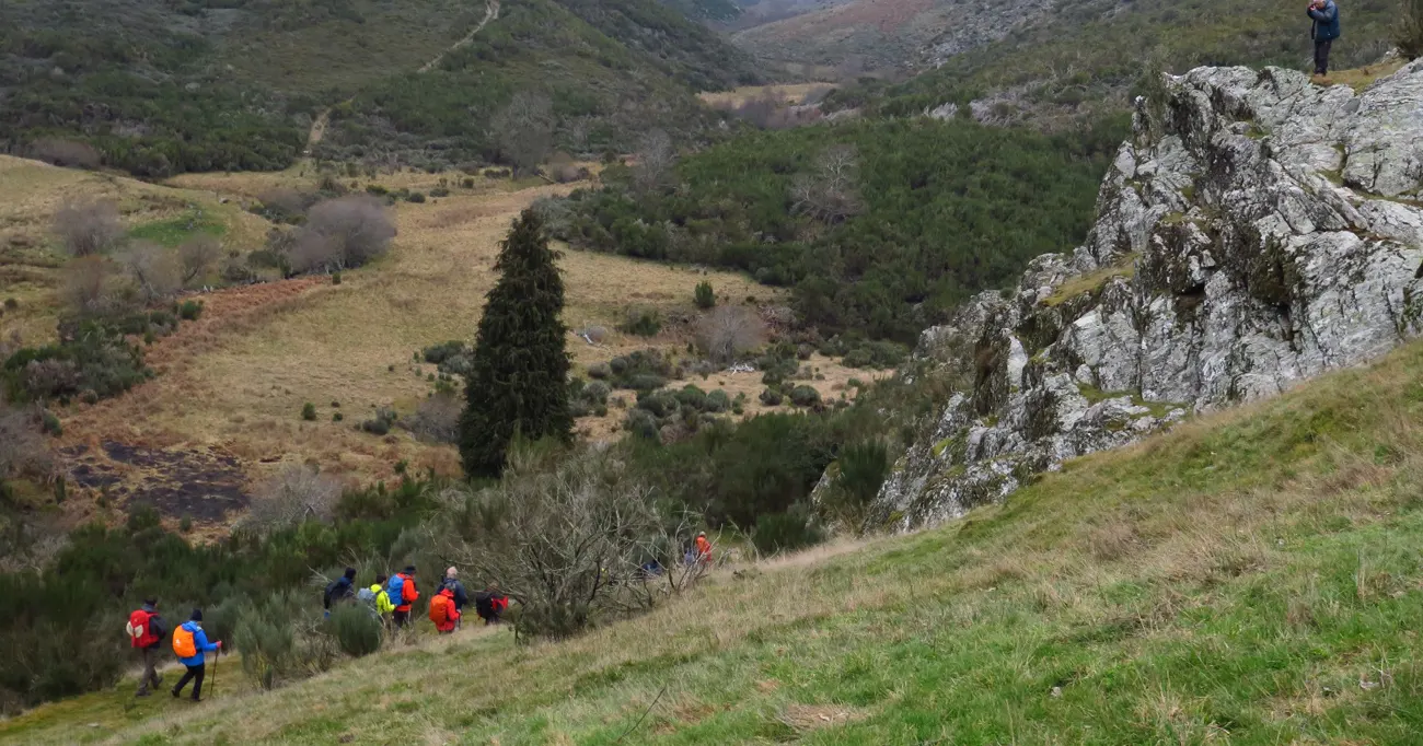 Com a Sede na Torre, o Sinal Está Dado