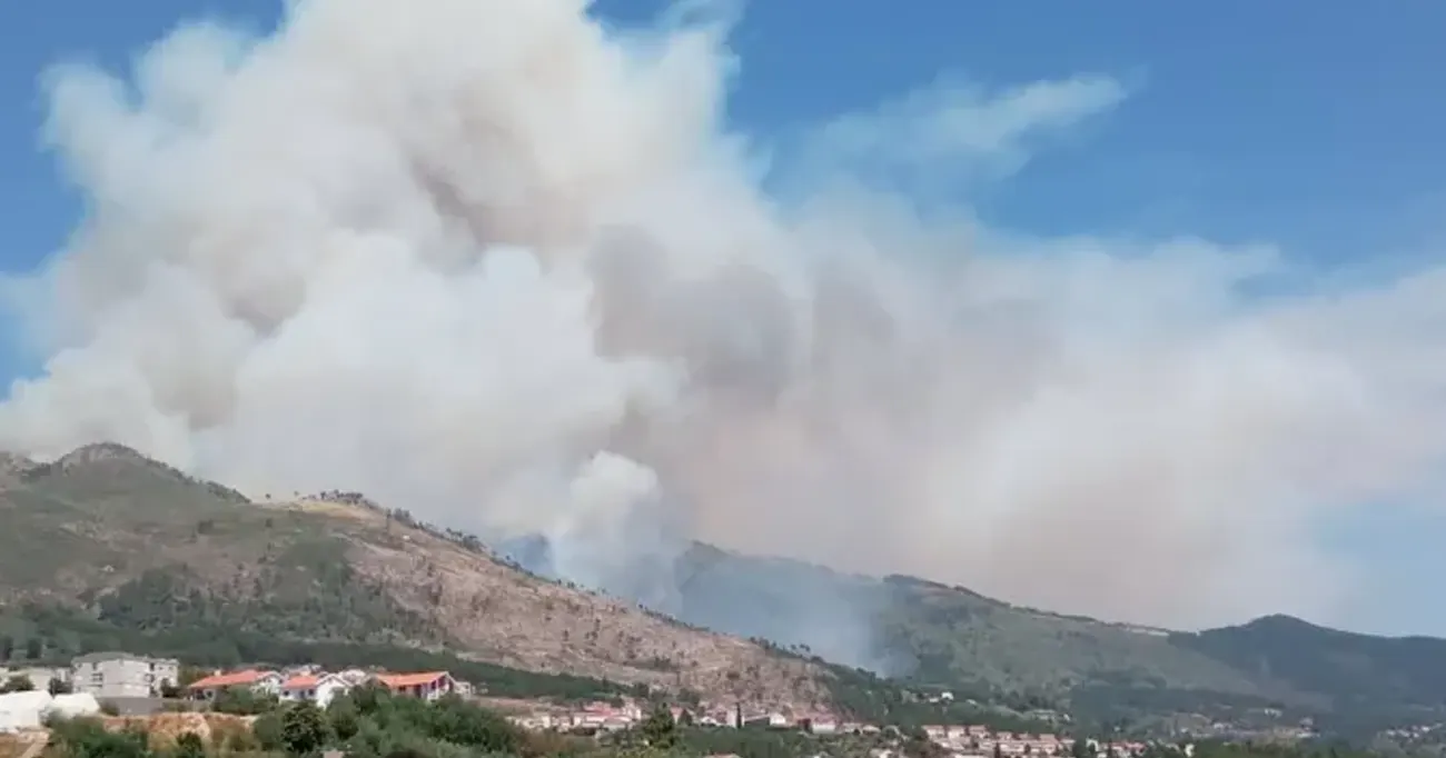 E tudo o fogo levou, tristemente. E voltou. E voltou novamente.